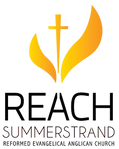 Reachlogo-removebg-preview.png