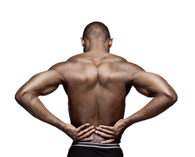 male back noBG.png