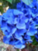 20150717_155723