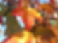 2021_Oct 044 - Copy.jpg