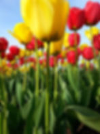 20140420_182003_hq