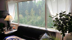 Living Room Window View