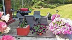 Patio- image 1