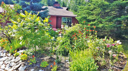 Garden- Front of house