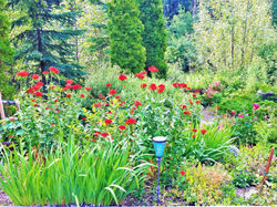 Garden- East side of house