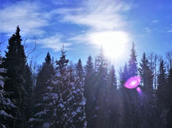 Winter