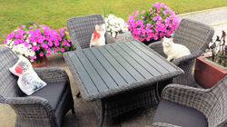 Patio- image 2