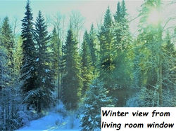 Winter- from living room