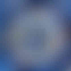 Broderie Panthère de Mer de la collection GRRR à motif léopard