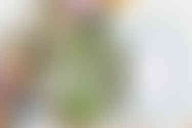 Crayons et papier mis Ă disposition pour lâanimation dessine moi une fleur