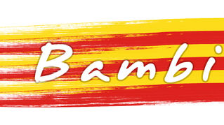 FUTSOC Bambinos
