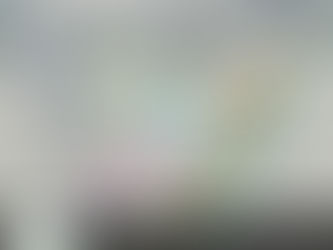 MCO to Disney: 4 Smart, Stress-Free Transportation Options You Must Know