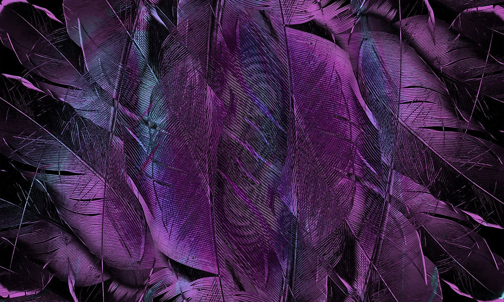 feather-4431599_1920.jpg