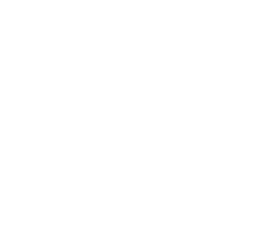 logo erneste blanc