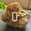 Miniature : Nilda