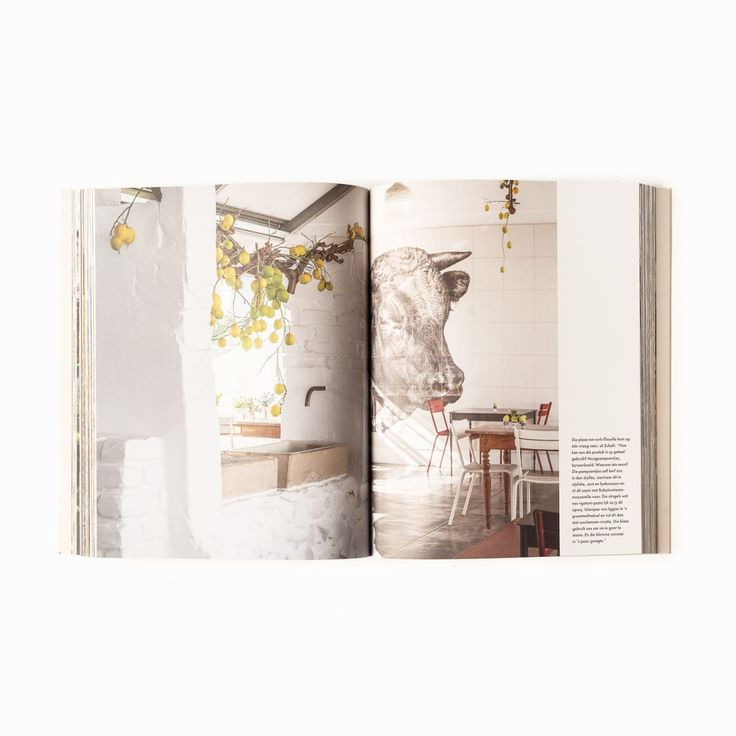 Thumbnail: Babylonstoren: Stories from the Farm