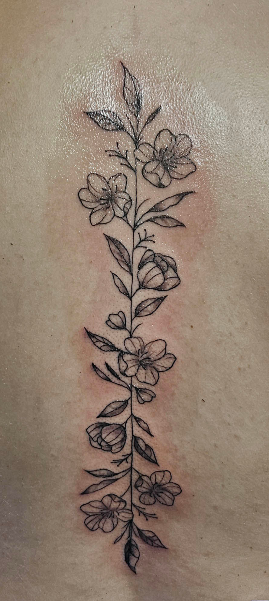 Crimson Heart Designs Tattoo Studio