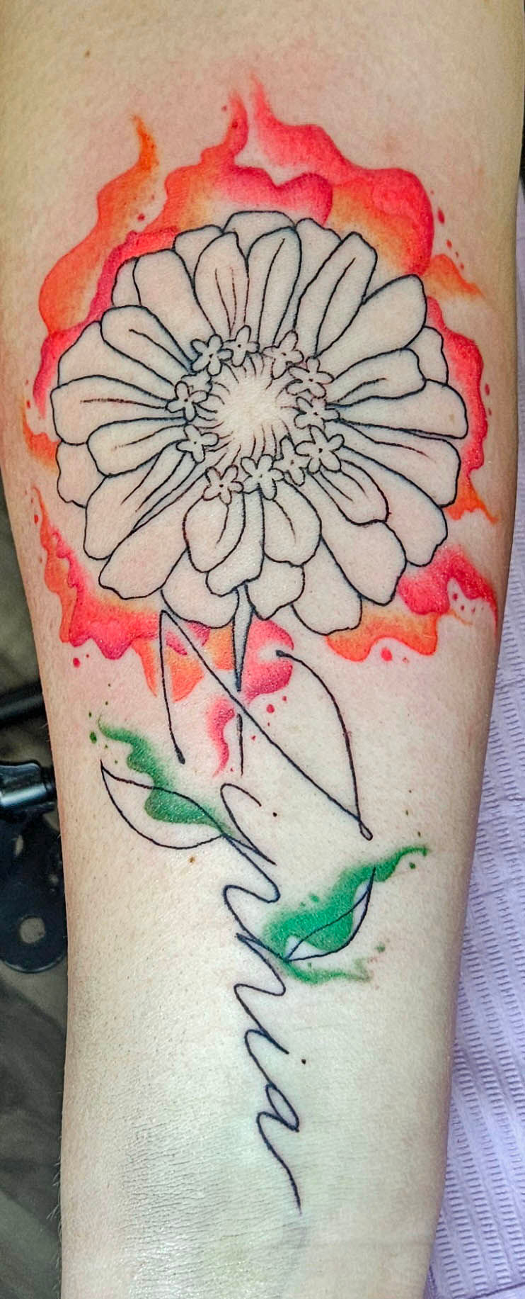 Crimson Heart Designs Tattoo Studio