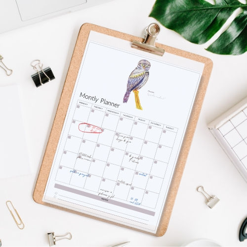 Miniatura: Planner Imprimibles Diario, Semanal y Mensual Chuncho, Buho – Descargable