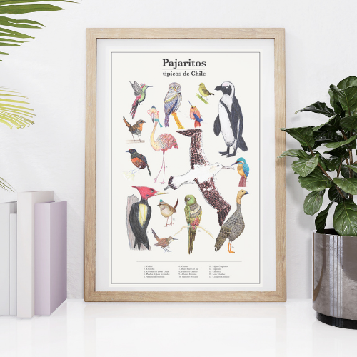 Miniatura: Póster Aves Emblemáticas de Chile