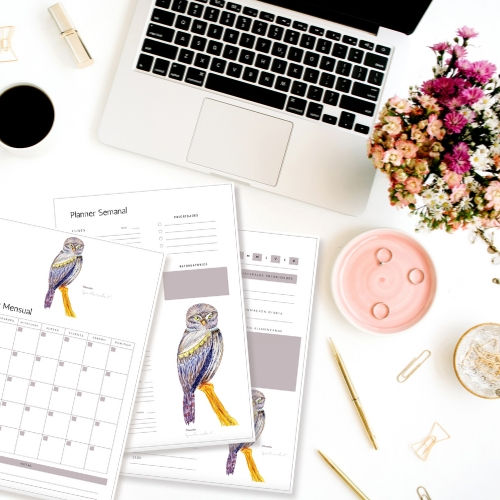 Miniatura: Planner Imprimibles Diario, Semanal y Mensual Chuncho, Buho – Descargable