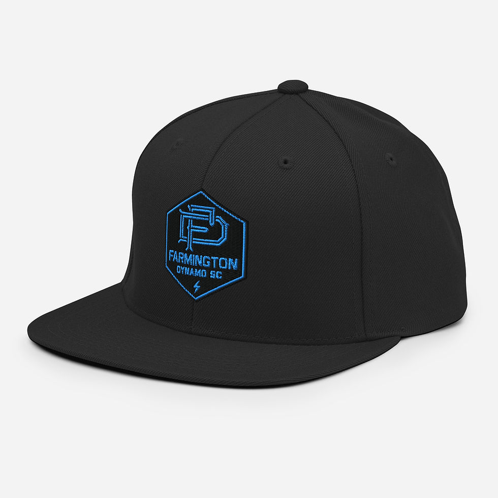 Thumbnail: Snapback Hat