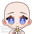 花瓣.gif