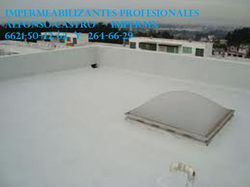 imagesCAC8I8X7.jpg