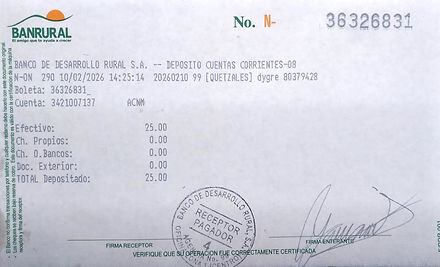 Ejemplo Boleta.jpg