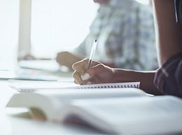 developmental language disorder strategies