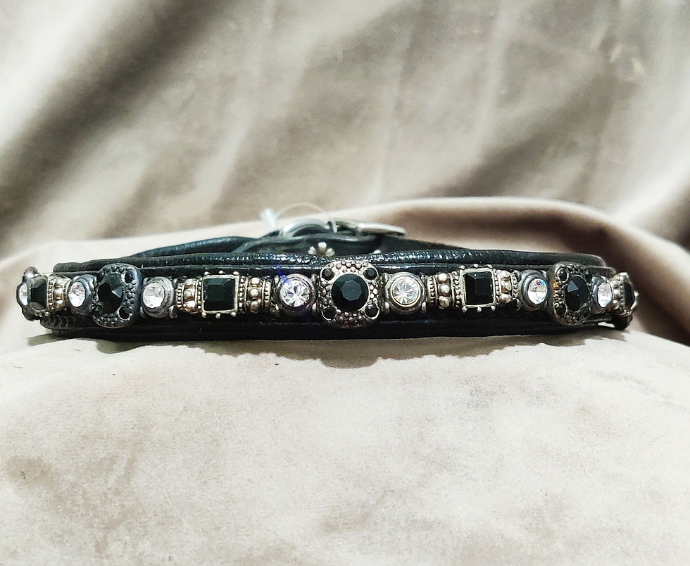 Thumbnail: 16''BLACK Page 2 of 2 "OTR" Off The Rack - Dog Collars