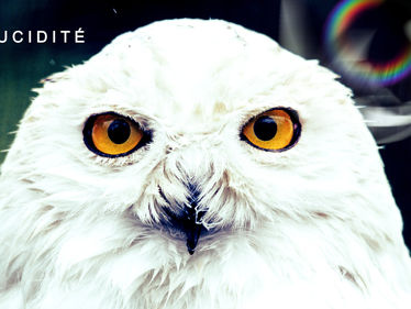 Lucidité II