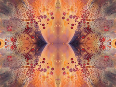 Ce n’est pas un processus d’intégration mais de dissolution. 