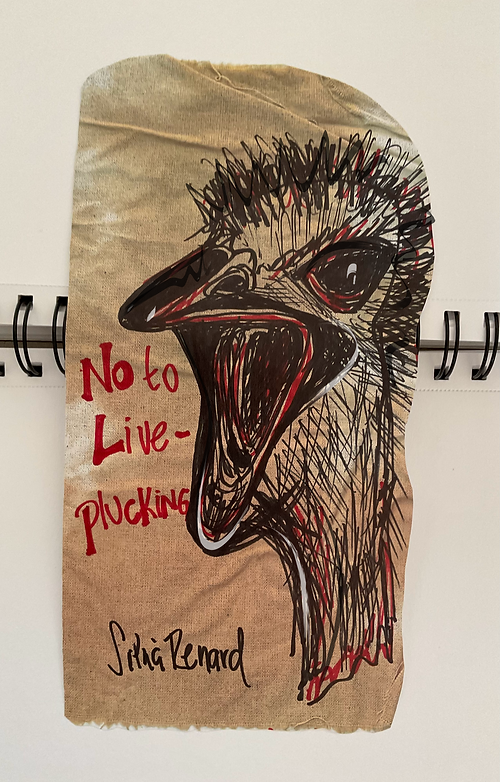 No to live-plucking .png