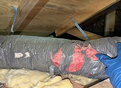 Rodent-damaged attic insulation requiring restoration
