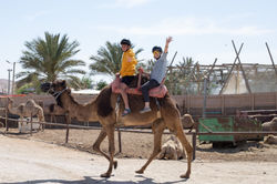 סבתא, נעם וגמל