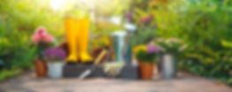 AdobeStock_256164250.jpeg