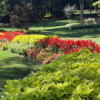 Lessons from a Garden