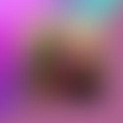 Lessons from an Orchid