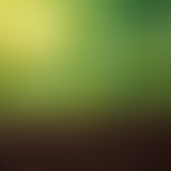 3 successive growth stages of a green seedling.