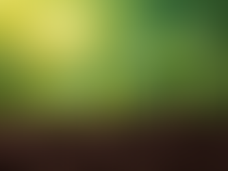 3 successive growth stages of a green seedling.