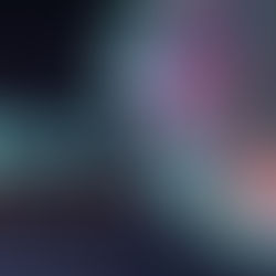 Peace in a Pandemic-Part 1