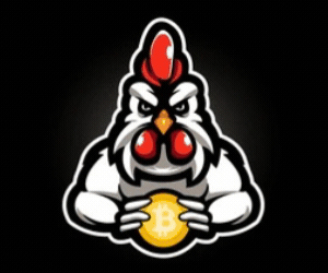 pollo.gif