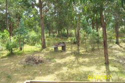 bosque..