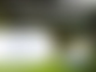 Your Private Jet to the Masters Starts with PASS Charters