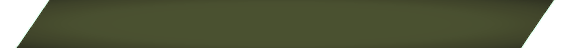 design_edited_edited_edited_edited.png