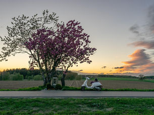 Electric Scooters vs Petrol Scooters: Which One Is Better?