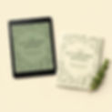 ebook-mockup-CnIYrBct (1).jpg