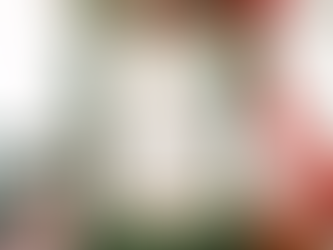 The Ultimate Guide to Hosting a Corporate Christmas Party in New York City