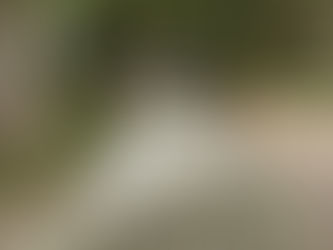 Danse de mariage à domicile dans la Meuse : créez votre wedding dance sur-mesure sans quitter votre salon